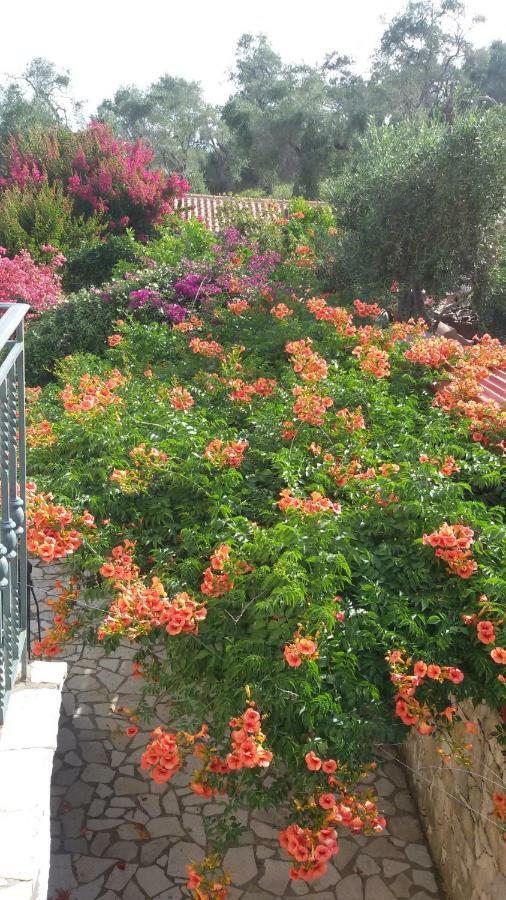 Villa Loulaki Magazia Paxi Arvanitakeika Exterior foto
